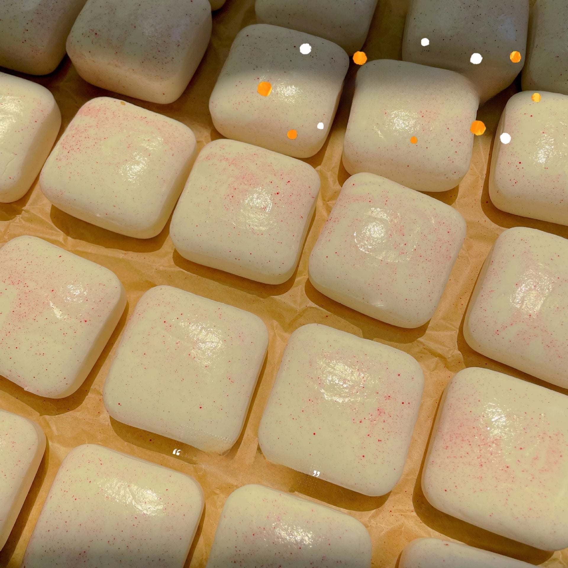 Mini Toast Squishy | Slow Rising Bread Bites